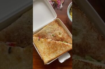 Day 4 of Healthy Lunch Box Ideas!