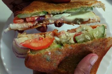 street style cheese sandwich | egg sandwich recipe | Sandwich recipe | bread recipe | healthy recipe