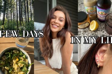 A Few Productive Days | healthy meals, aloe shot recipe, drs. appt, new piercings, birthday party