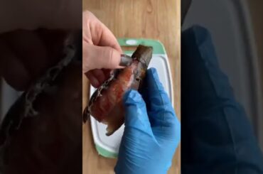 Lobster Tail in the Air fryer - Healthy recipes for Keto diet #shorts #keto #ketorecipes #ketolife