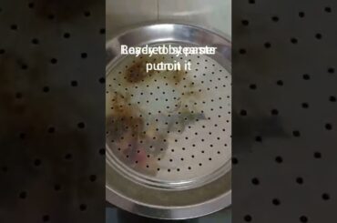 weight loss recipe healthy breakfast short by####foodie