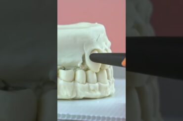 Are Hyperrealistic Cakes Fine Art?