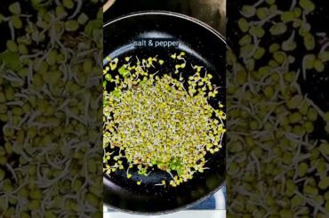 High Protein Weightloss Chatpata Snack | Weightloss Recipes | Moong Sprouts Salad #shorts #healthy