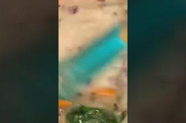 Jhal Suji | Nonta Suji Recipe In Bengali | Upma Recipe | #shorts Healthy Breakfast Recipe