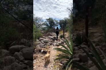 What I ate to lose -70 pounds #starchsolution #healthy #weightlossjourney #weightloss #shorts