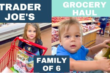 Trader Joe’s GROCERY HAUL: Easy, HEALTHY SNACK IDEAS + RECIPES for a Busy Family + Nutritionist Recs