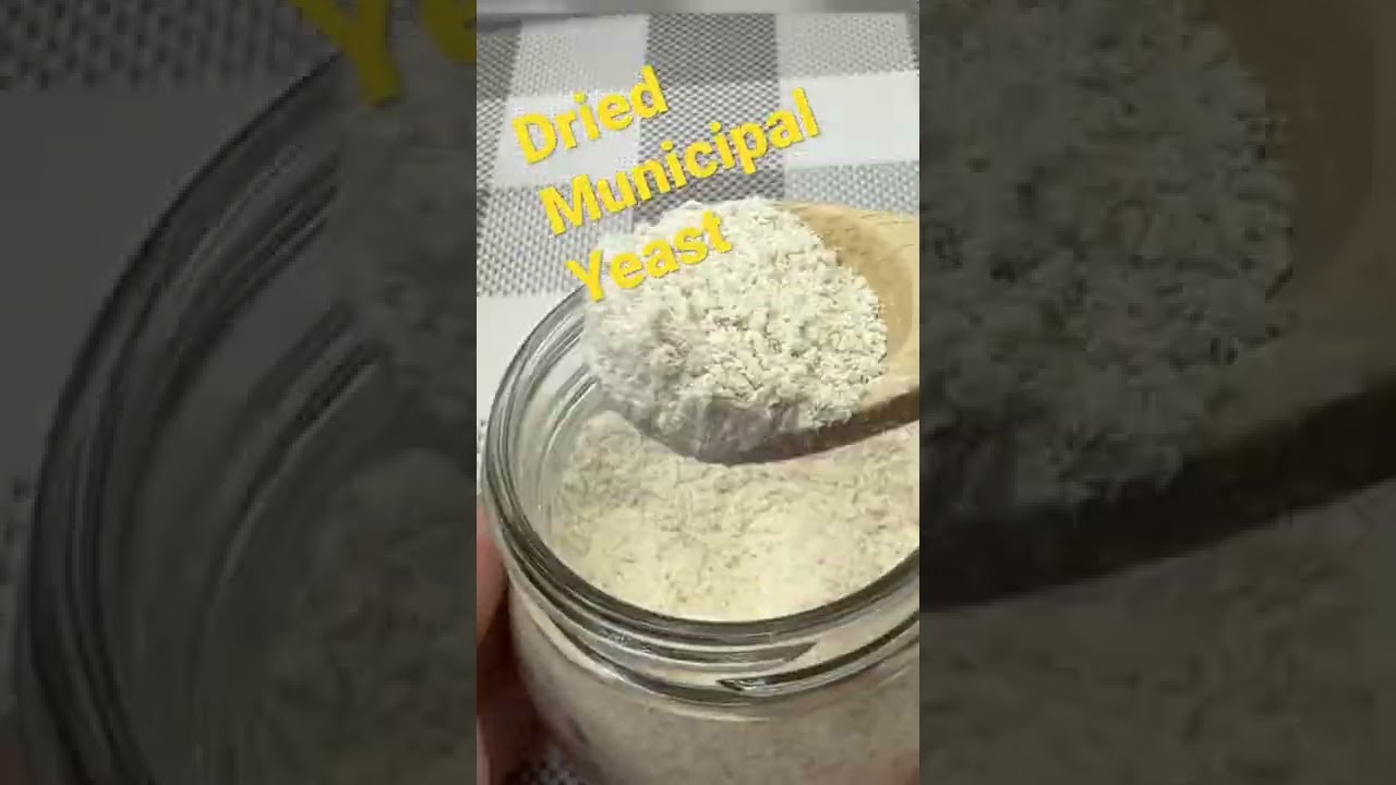 Dried municipal yeast #healthy_recipes #yeast #healthy_yeast Dried municipal yeast #healthy_recipes #yeast #healthy_yeast