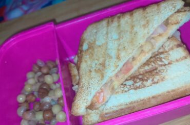 Easy and quick sandwich recipe || by savitri ki rasoi