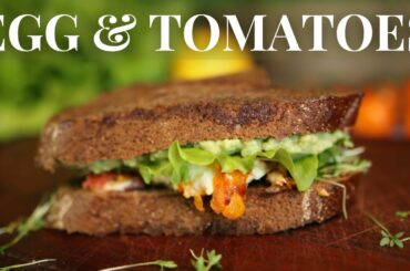 How to make a perfect Egg Sandwich! The BEST sandwich recipe for egg lovers!