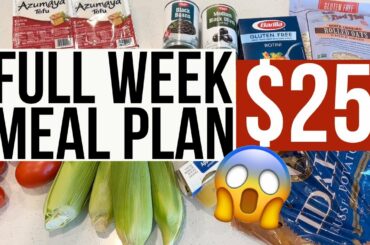 Eating Healthy on a Low Grocery Budget | Save a TON of Money On Groceries (2022) $25 Meal Plan