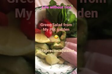 Healthy Salad | fresh from my garden | life without rice