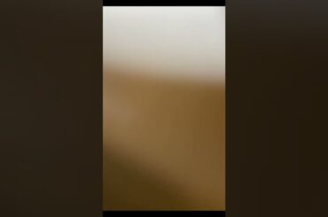 BREAKFAST PLATTER #healthy  #healthyrecipes #healthyfood #fruitsalad #fruitsbasket #fruit #vegan