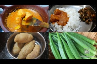 Simple Lunch Menu In Tamil | Lunch Combo In Tamil | Healthy Lunch Recipes | Lunch Box Recipes