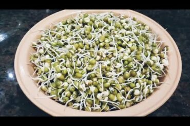 Healthy Breakfast Recipe / Sprouts Dosa / Green Gram Dosa Recipe / Pesarattu recipe @Pink Cookery