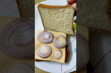 Salami Sandwich