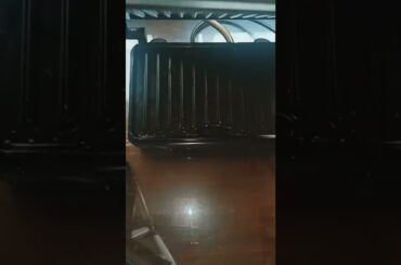 Bachelors, students and kids healthy breakfast recipe #shorts #youtubeshorts