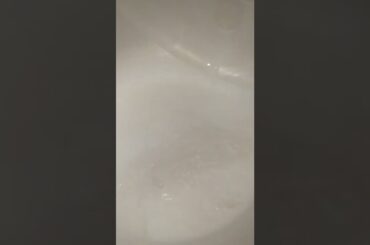 #Breakfast ideas #Recepie of making Saviyyan #Breakfast theme #Healthy breakfast ideas #Shorts