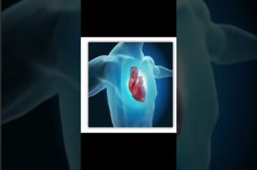 3 fat burning drink - weight loss recipes | fat burning tea  #short #youtubeviral #gym