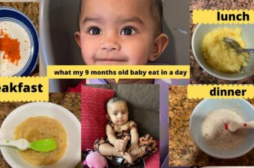 WHAT MY 9 MONTHS OLD BABY EAT IN A DAY ? HEALTHY RECIPES~INDIAN MOM IN USA ~ VEG RECIPES  9M - 2 YRS