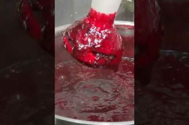 Blackcurrant fruit bar healthy snack