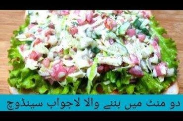 How To Make Sandwich Recipe By Cooking With Bano !! Healthy And Easy Lucnh Recipe