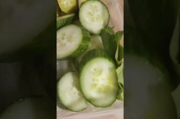 Chicken embotido and Cucumber | healthy lunch