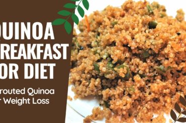 Quinoa Recipes for Weight Loss II Sprouted Quinoa Green Pepper Recipe for healthy Breakfast
