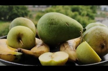 FRUIT SALAD | Colourful Healthy Fruits mixed salad recipe |