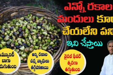 Special Nuts to Clean Body Wastage | Boosts Immunity | Water Chestnuts | Dr. Manthena's Health Tips