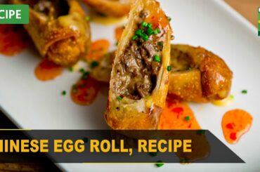 Chinese Egg Roll Recipe | Quick & Healthy Recipes | Masala Tv