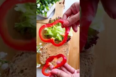 Healthy sandwich #healthyfood #healthyrecipes #cookingchannel #cookingathome #sandwiches #yummyfood