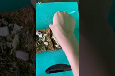 brown bread sandwich*so tasty and healthy* easy snacks