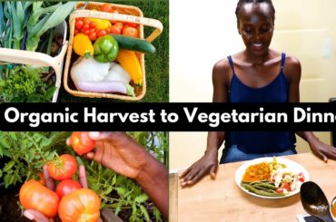 Healthy Dinner Ideas | Vegetarian Recipes | Farm-to -Table Vlog| Home-made Sauce