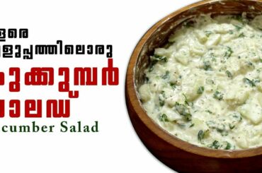 Cucumber Salad Recipe For Lunch - Dinner | Healthy Salad Recipe Malayalam |#shorts