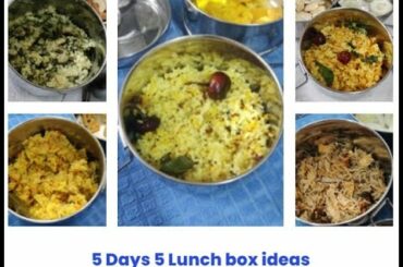 10 mins Lunch Box recipe  for 5 days | lunchbox recipe/5 Healthy Lunch Box Recipes With Nutrients