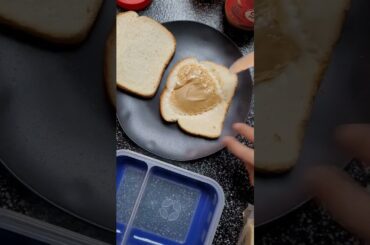 School Lunches - Healthy Lunch Ideas for School