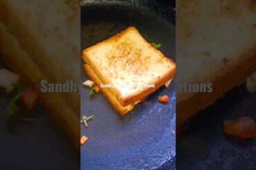 Yummy and healthy sandwich