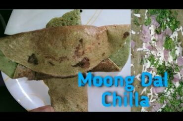 Healthy Breakfast Recipe #Moong Dal Chilla# Moong dal Dosa#High Protein  Breakfast For Weight Loss