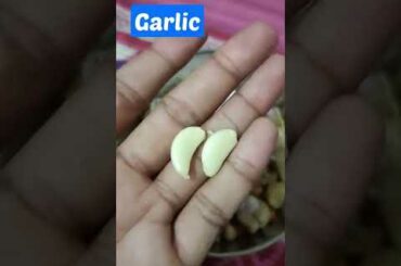 High Protein Veg BREAKFAST RECIPES for Weight Loss Quick & Healthy Breakfast Options for the Week