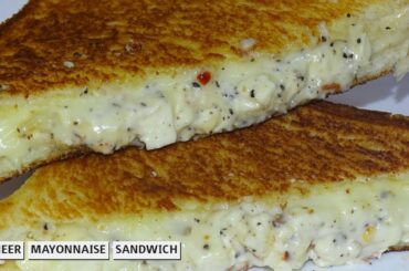 Paneer Mayonnaise Sandwich l Healthy Sandwich for Kids l Healthy Lunch Box Recipe for Kids.