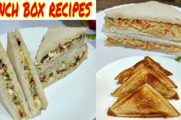 3 Types Of Sandwich Recipes | 5 Minutes Healthy and Tasty Lunchbox Recipes | Bushra ka kitchen 2020