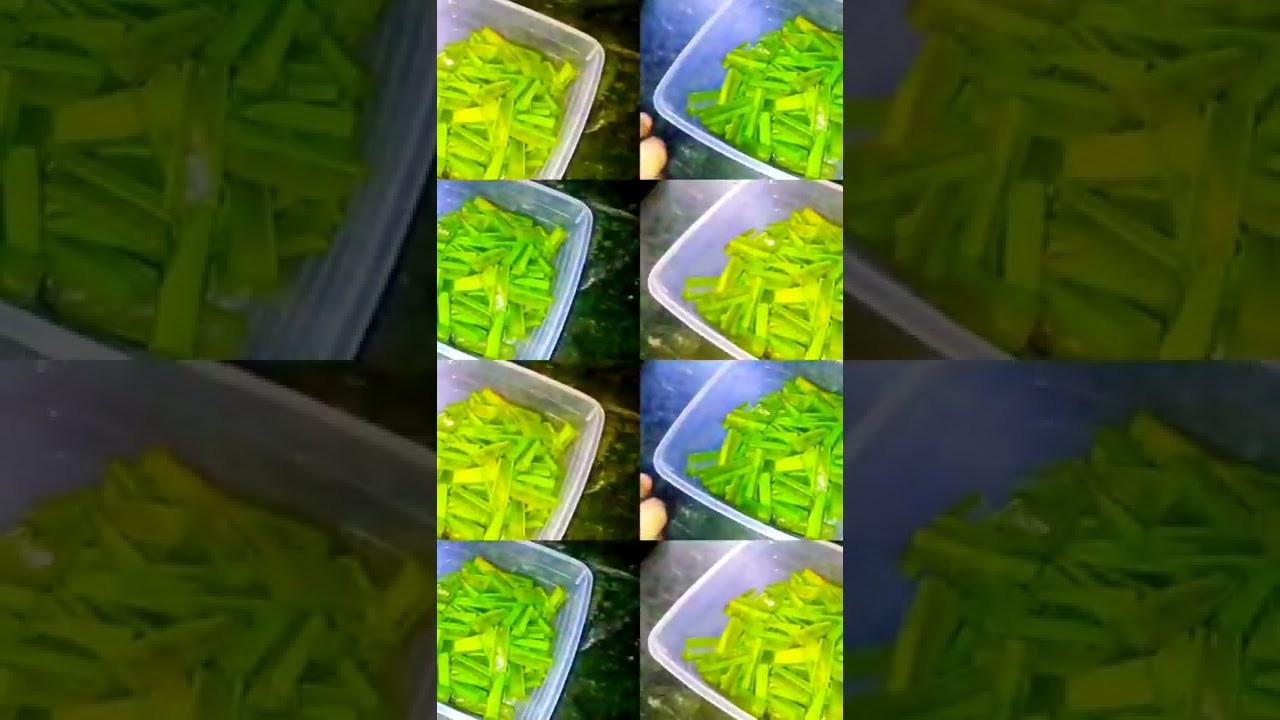 Aloe vera salad |healthy salad|blood purifier|Easy Short Recipe #youtubeshorts#pickels#tasty#easy Aloe vera salad |healthy salad|blood purifier|Easy Short Recipe #youtubeshorts#pickels#tasty#easy