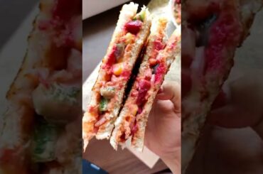 Vegetable Sandwich || Healthy Sandwich Recipe