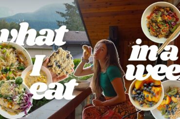Is Eating Healthy Worth It?? - what I eat in a week ( vegan recipes )