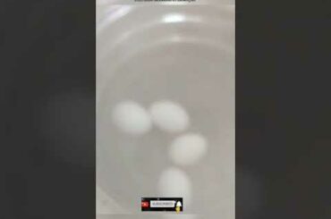 Kids snacks & lunch box ideas - day 64 (15th oct)healthy lunch box #lunch_box_recipes #todaysamayal