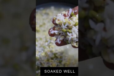 Healthy Breakfast Recipe/Protein Rich Breakfast Recipe/Multi Grain Dosa