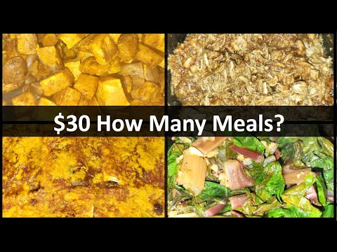 $30 Healthy Meals Challenge | Water Bucket Homestead $30 Healthy Meals Challenge | Water Bucket Homestead