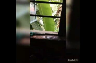 new recipe.,# u can try it # if u searching healthy recipes for diet u can try it.##it