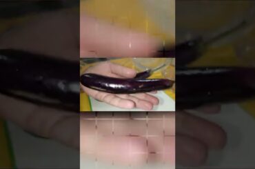 I have never eaten eggplant so delicious! Healthy and delicious food! Fresh recipes #shorts