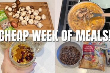 CHEAP WEEK OF MEALS | Doing My Best to Use What I Have and SPEND ZERO Dollars to Make Healthy Meals!